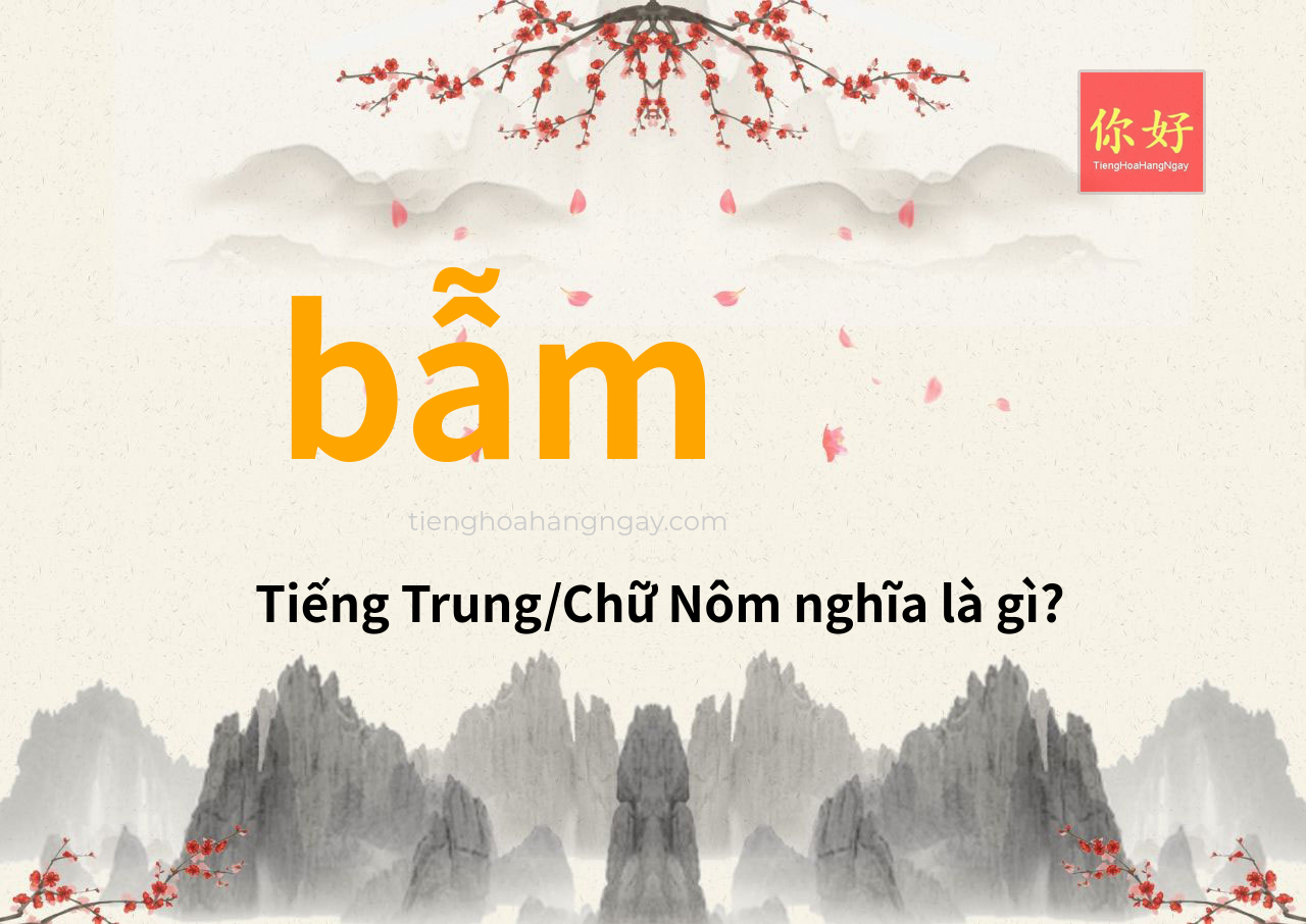 bẫm tiếng Trung là gì?