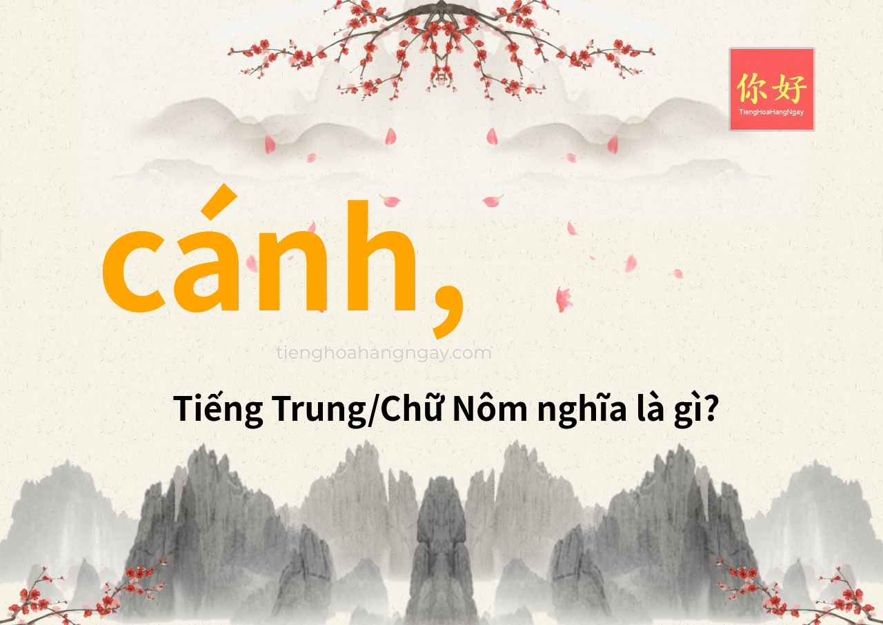cánh, tiếng Trung là gì?