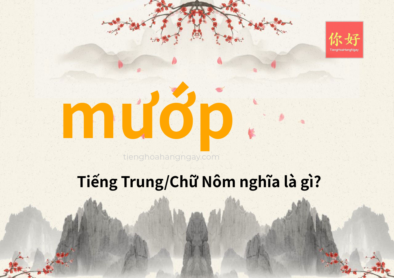 mướp tiếng Trung là gì?