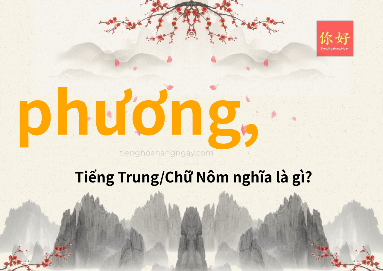 phương, tiếng Trung là gì?