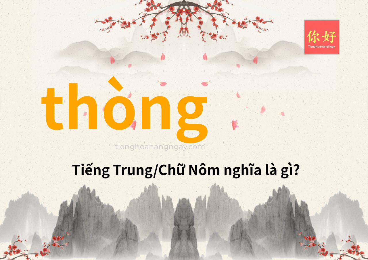 thòng tiếng Trung là gì?