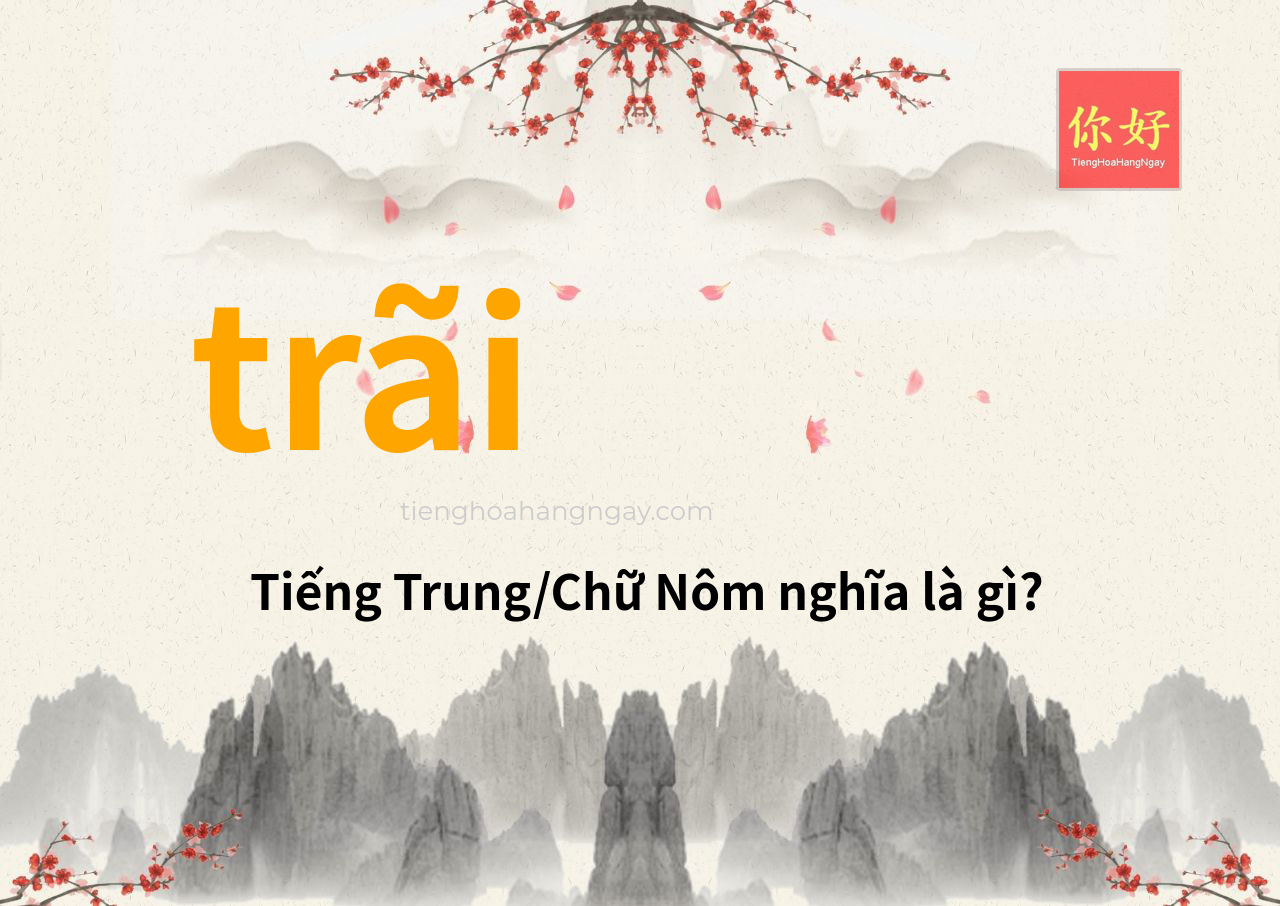 trãi tiếng Trung là gì?