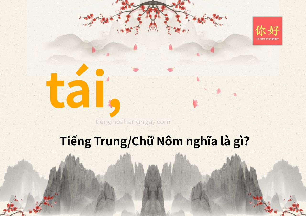 tái, tiếng Trung là gì?