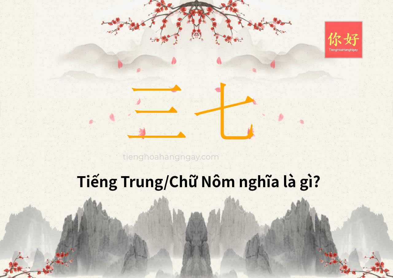 三七 tiếng Trung là gì?