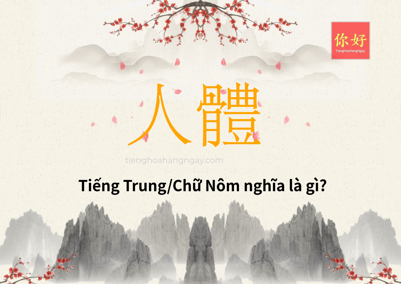 人體 tiếng Trung là gì?
