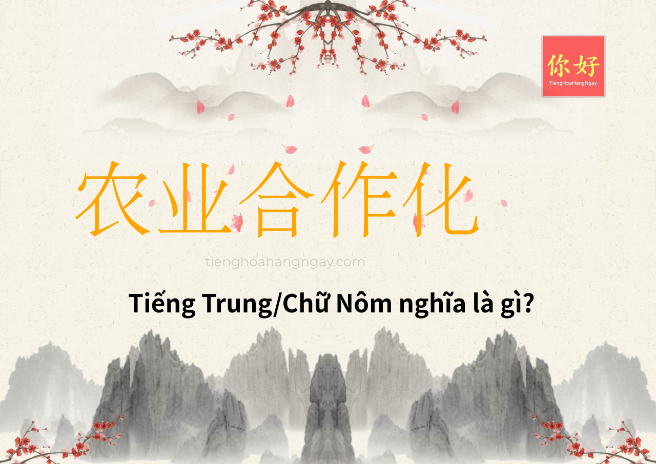 农业合作化 tiếng Trung là gì?