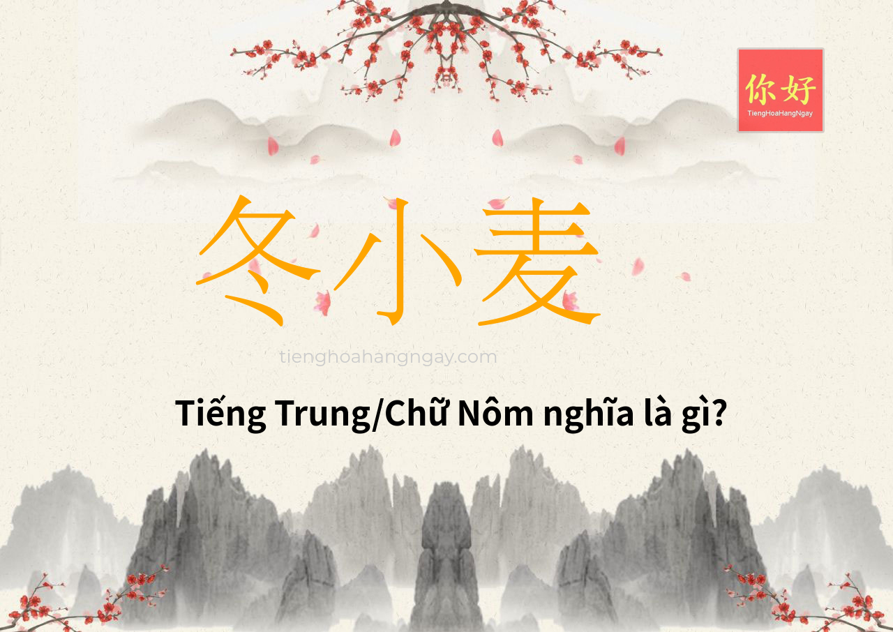 冬小麦 tiếng Trung là gì?