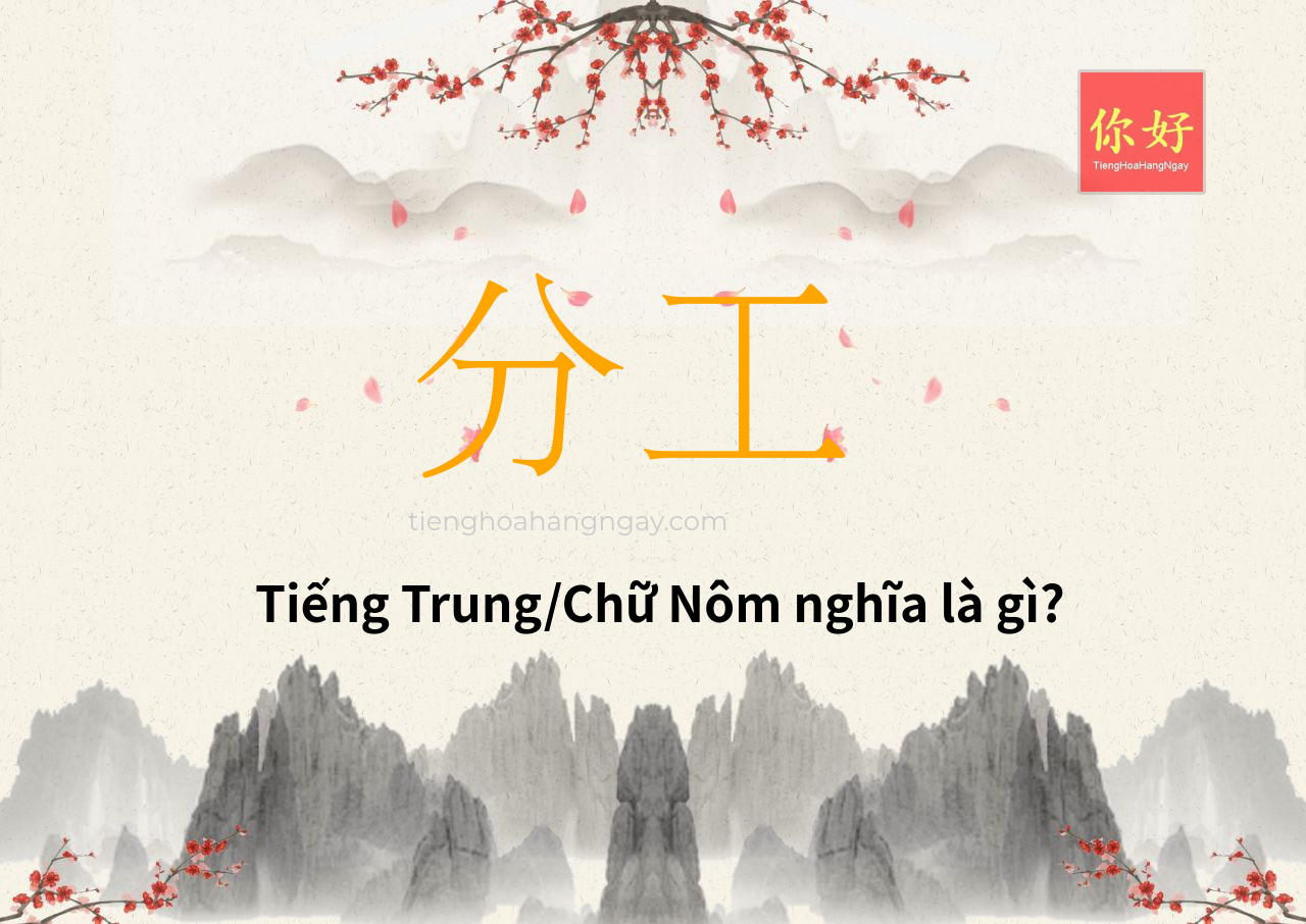 分工 tiếng Trung là gì?