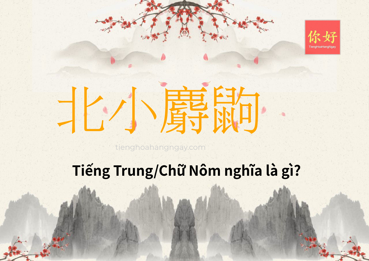 北小麝鼩 tiếng Trung là gì?