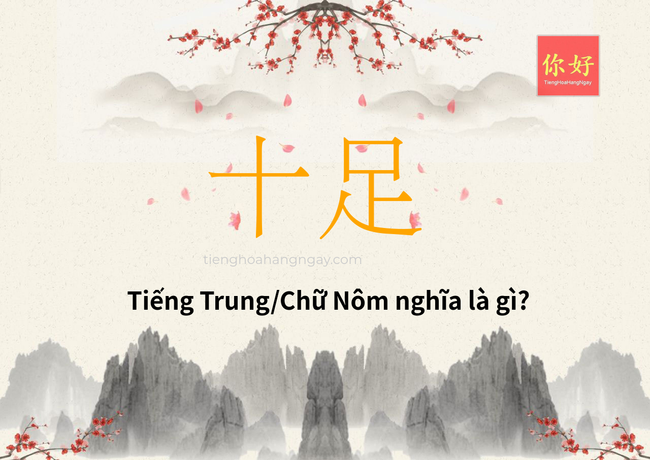 十足 tiếng Trung là gì?