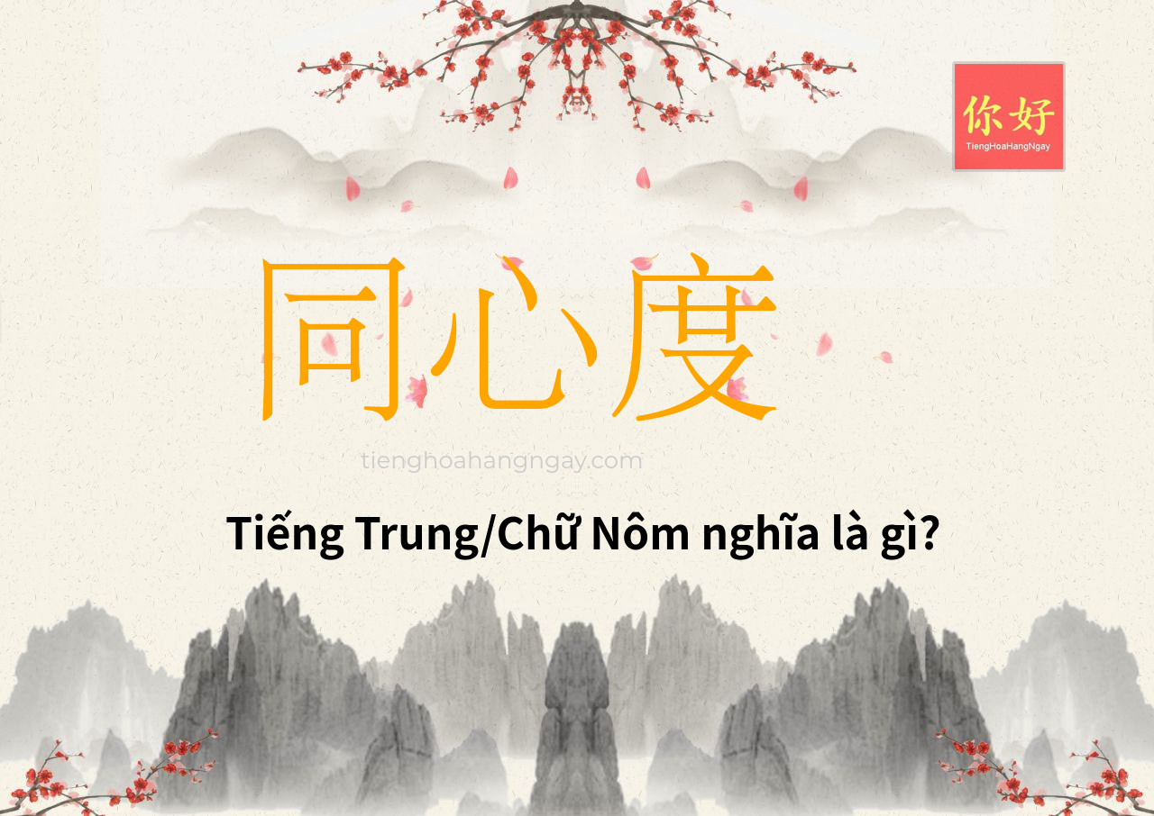 同心度 tiếng Trung là gì?