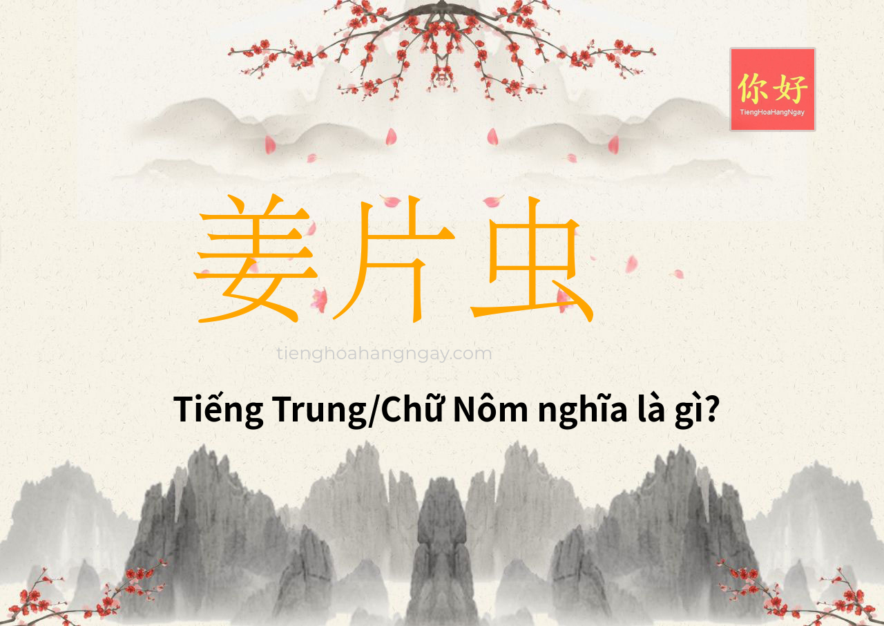 姜片虫 tiếng Trung là gì?