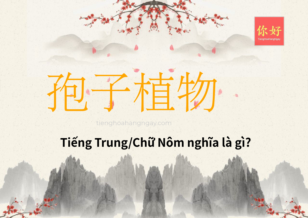 孢子植物 tiếng Trung là gì?