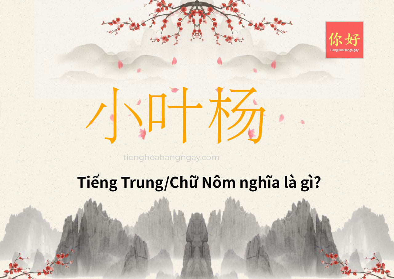 小叶杨 tiếng Trung là gì?