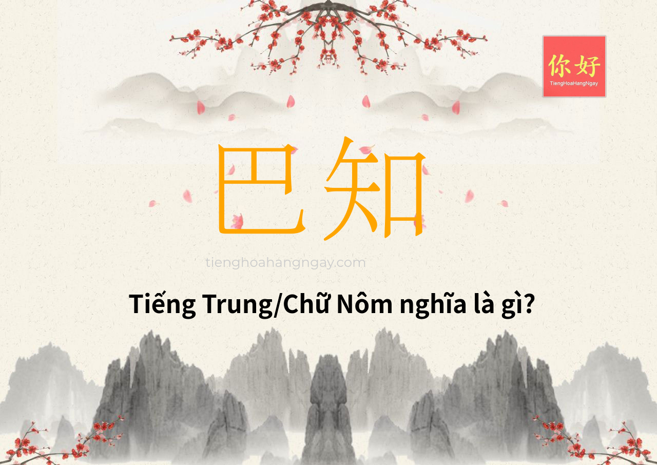 巴知 tiếng Trung là gì?