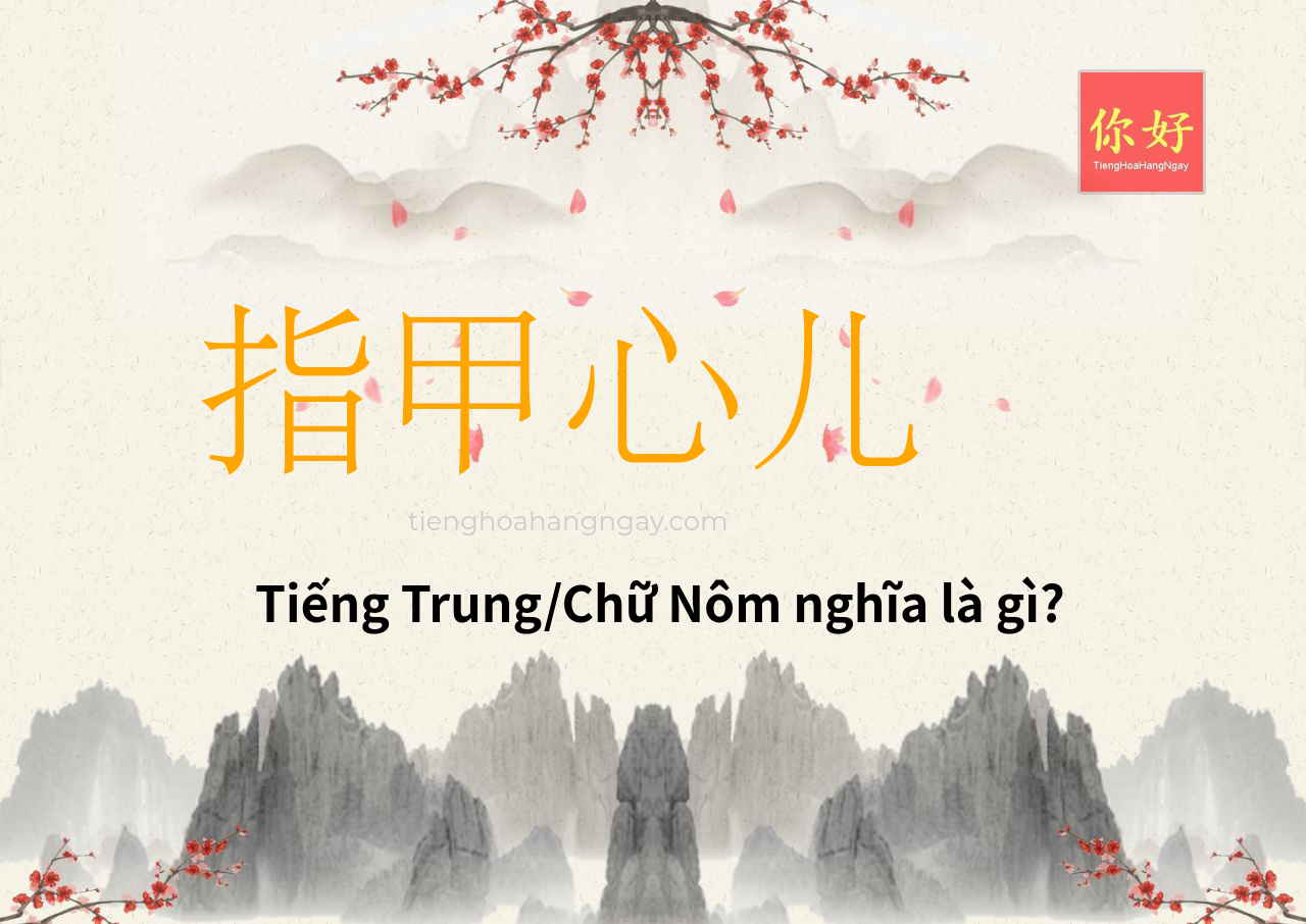 指甲心儿 tiếng Trung là gì?
