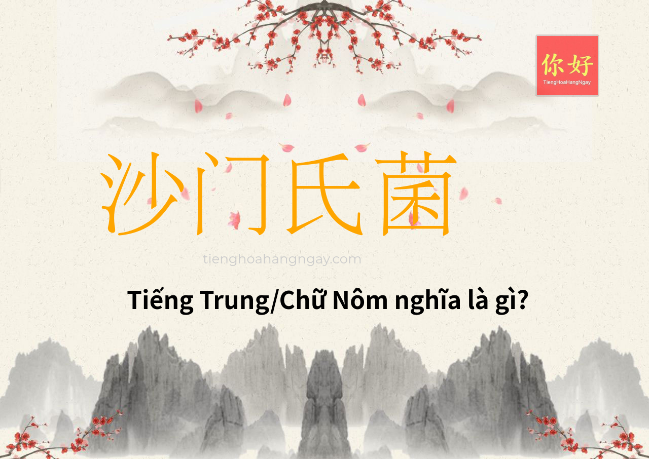 沙门氏菌 tiếng Trung là gì?