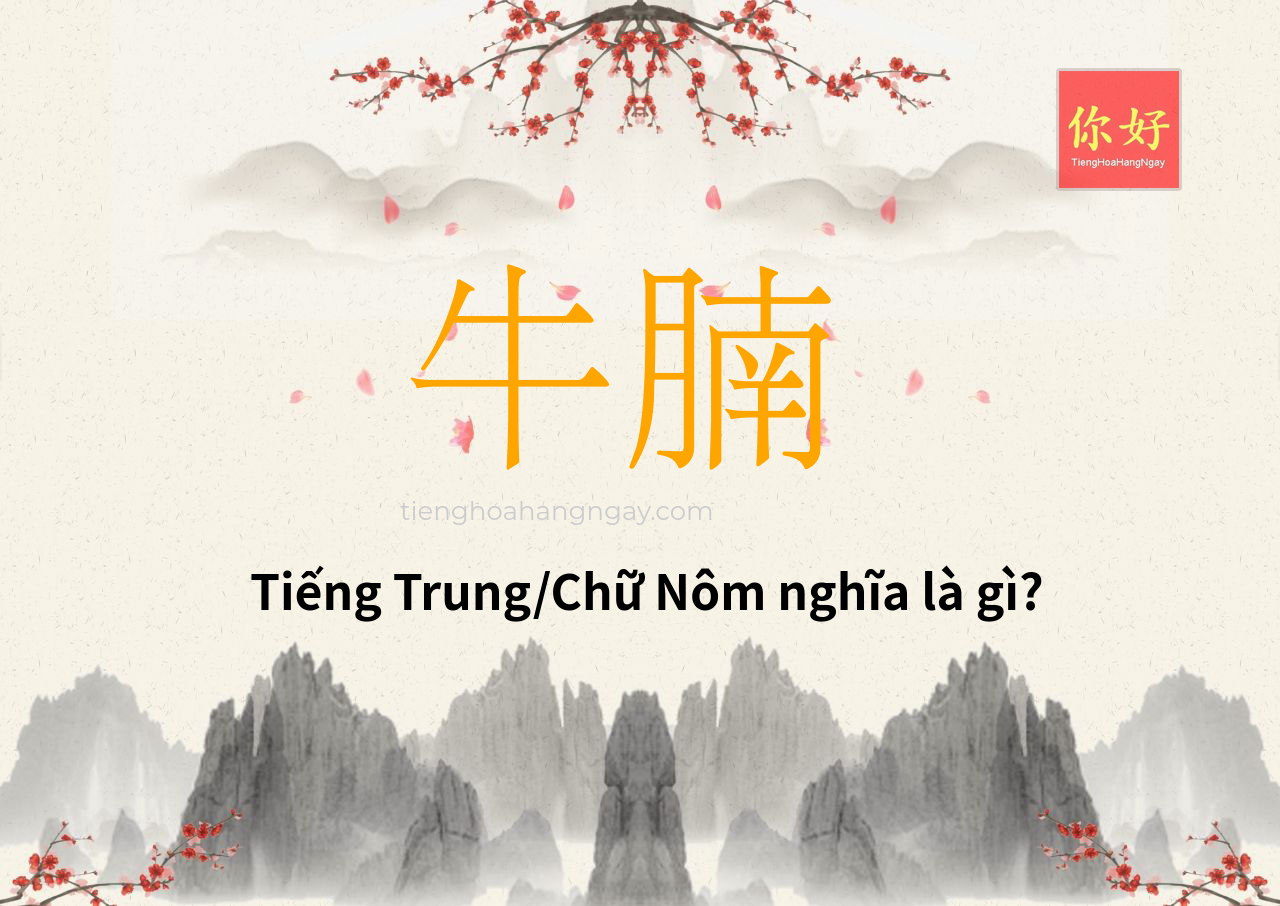 牛腩 tiếng Trung là gì?
