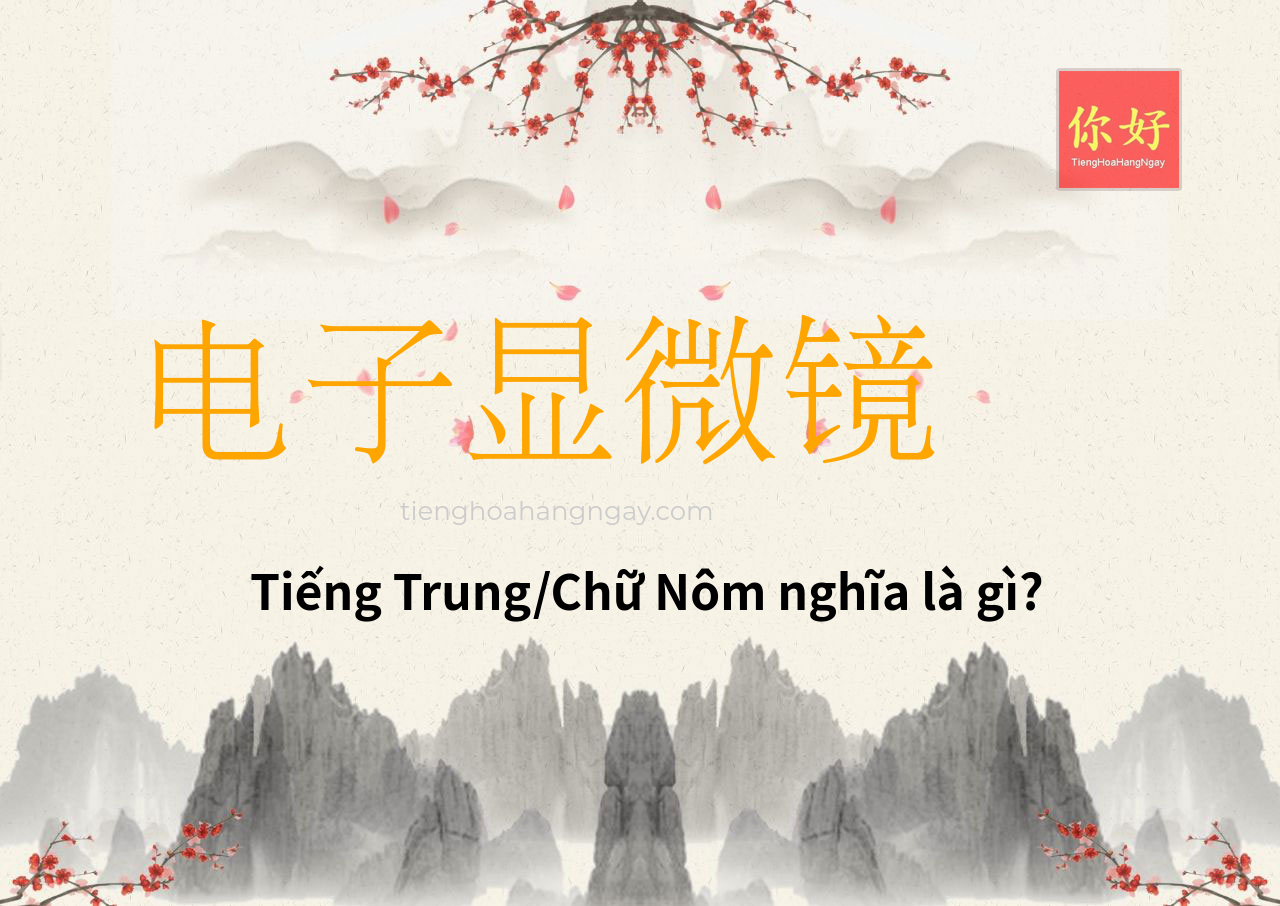 电子显微镜 tiếng Trung là gì?