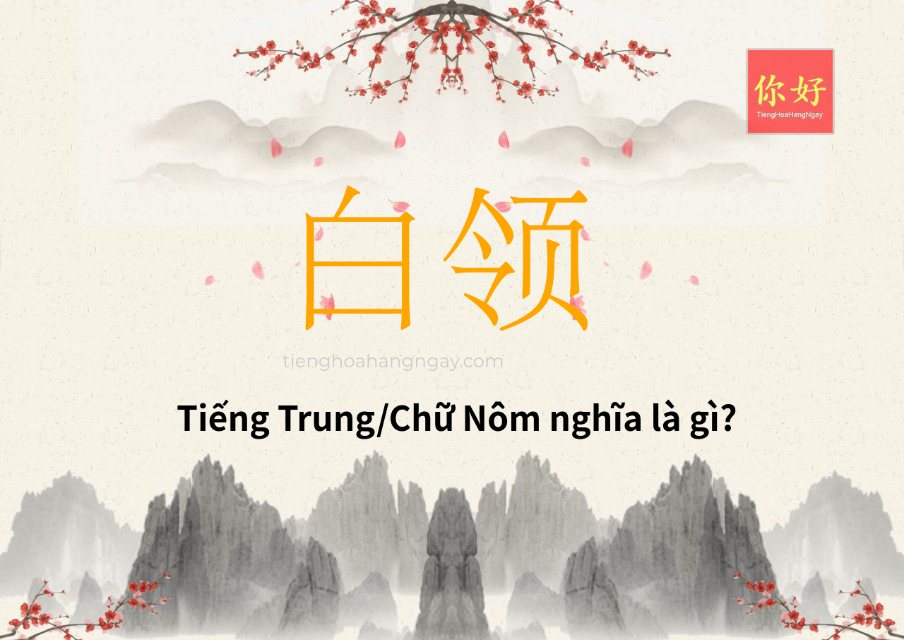 白领 tiếng Trung là gì?