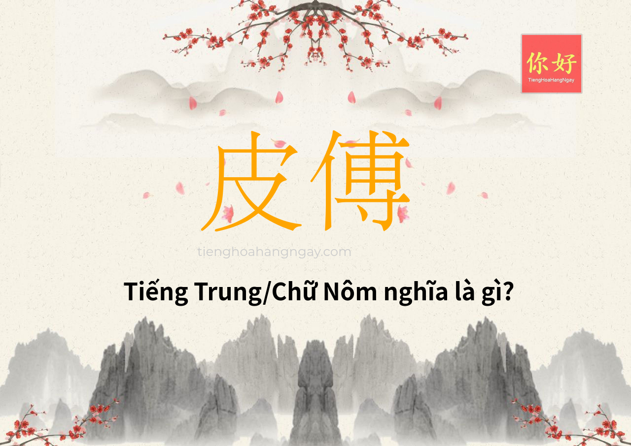 皮傅 tiếng Trung là gì?