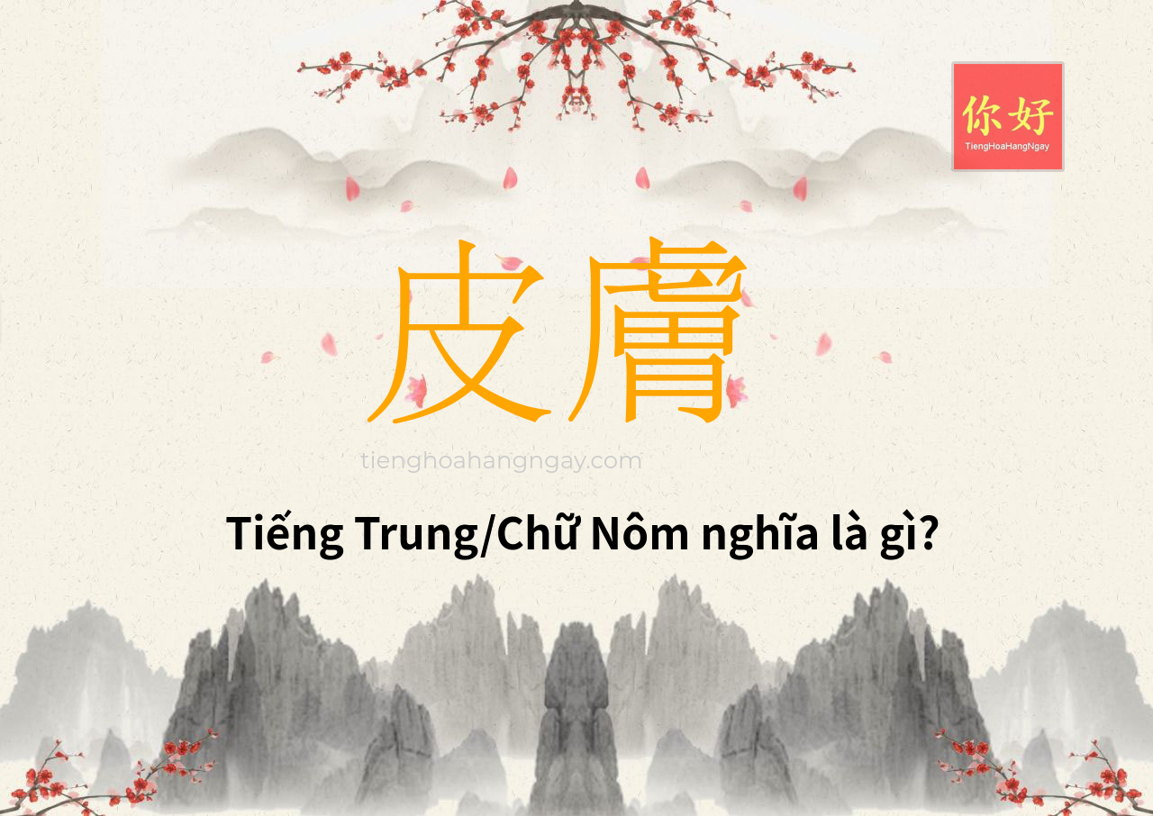 皮膚 tiếng Trung là gì?