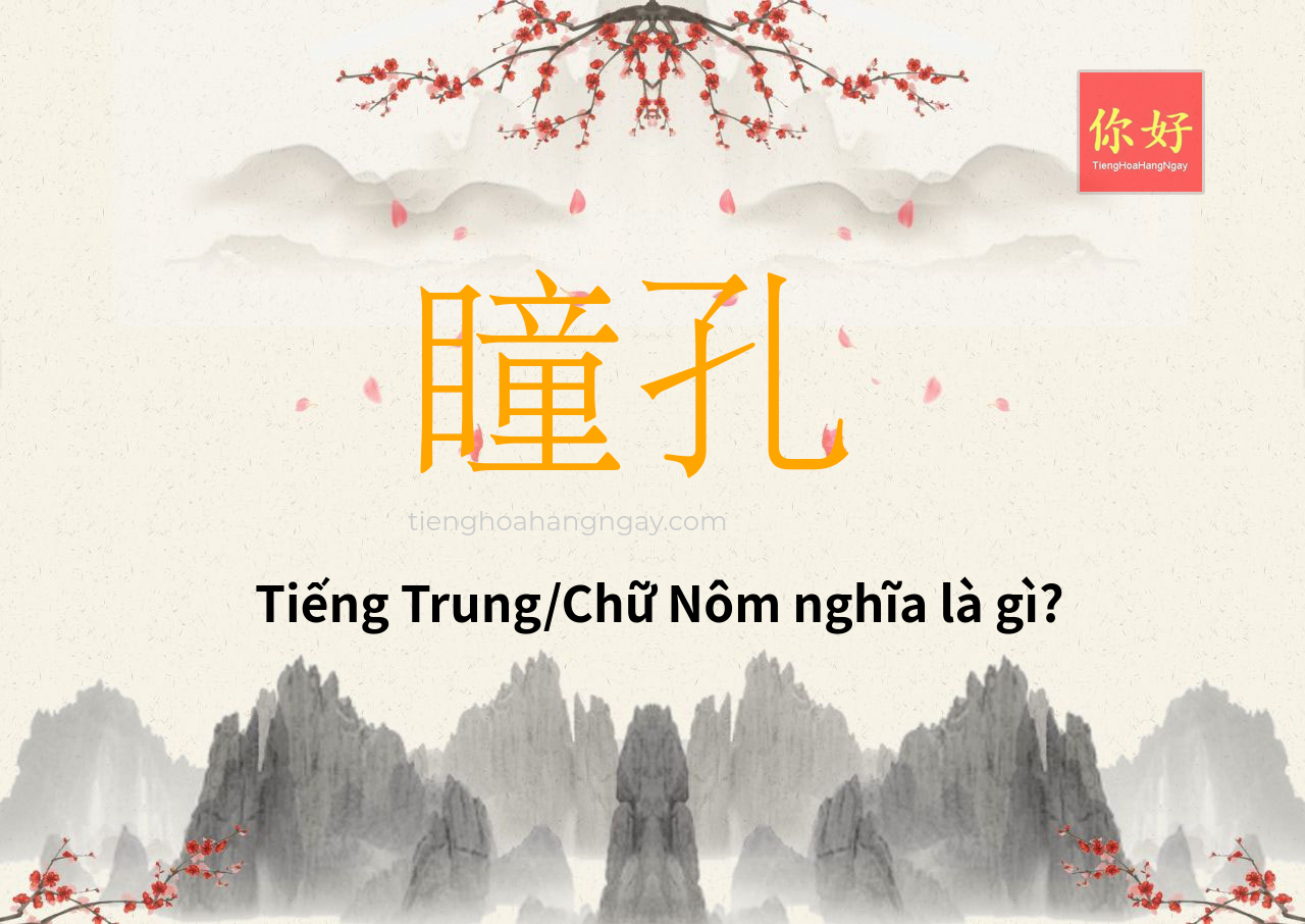 瞳孔 tiếng Trung là gì?