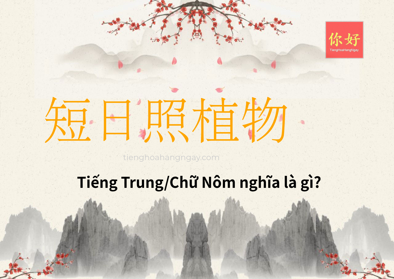 短日照植物 tiếng Trung là gì?