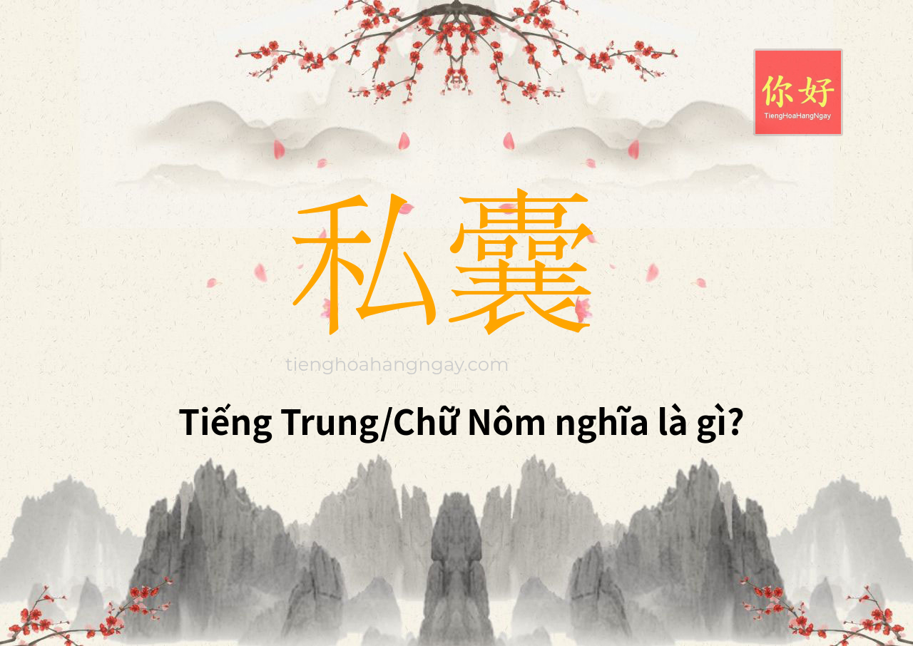 私囊 tiếng Trung là gì?