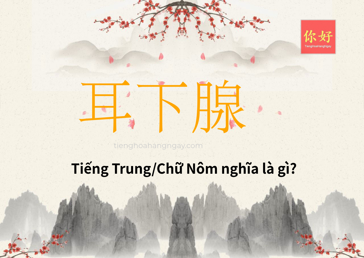 耳下腺 tiếng Trung là gì?