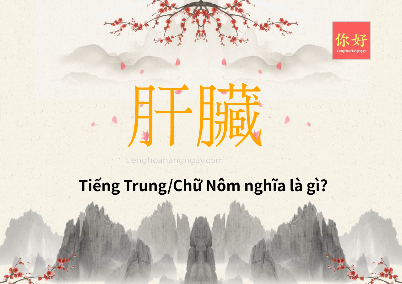 肝臟 tiếng Trung là gì?