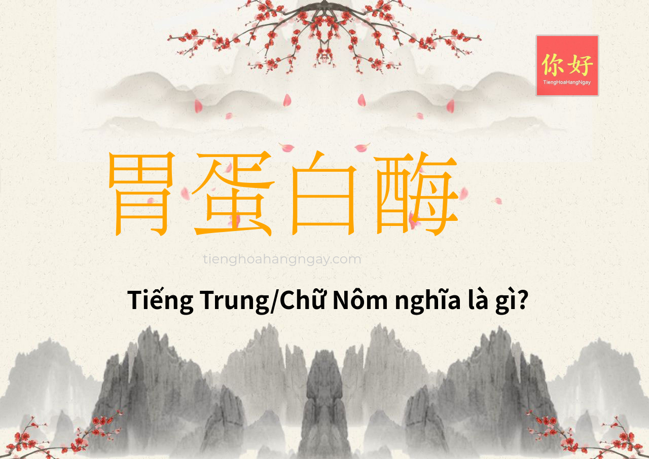 胃蛋白酶 tiếng Trung là gì?