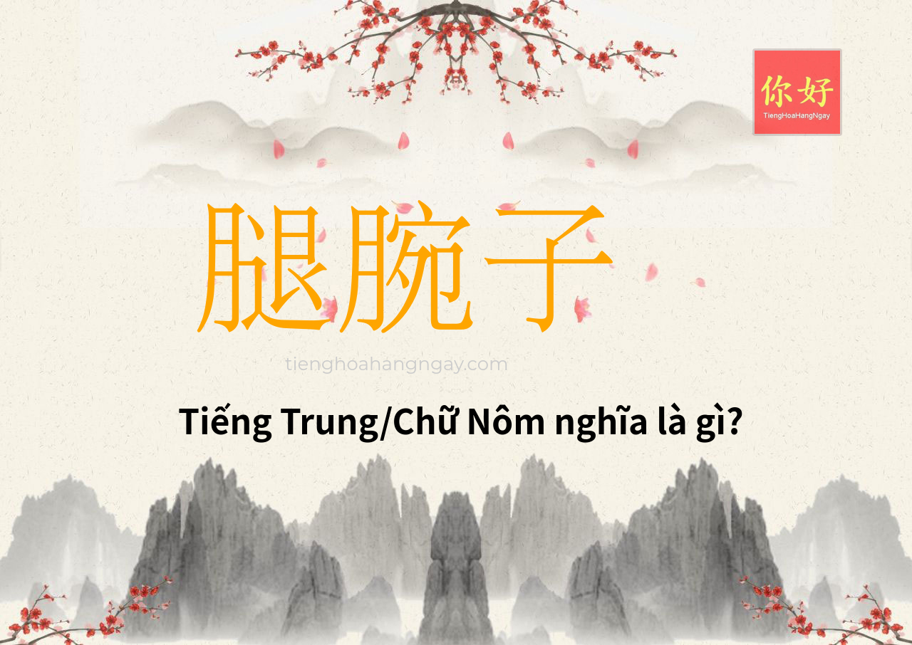 腿腕子 tiếng Trung là gì?
