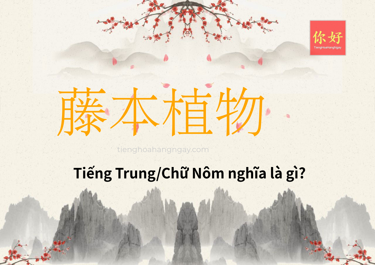 藤本植物 tiếng Trung là gì?