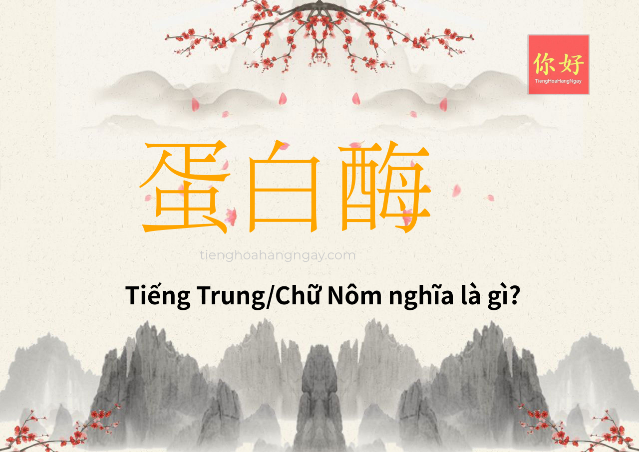 蛋白酶 tiếng Trung là gì?