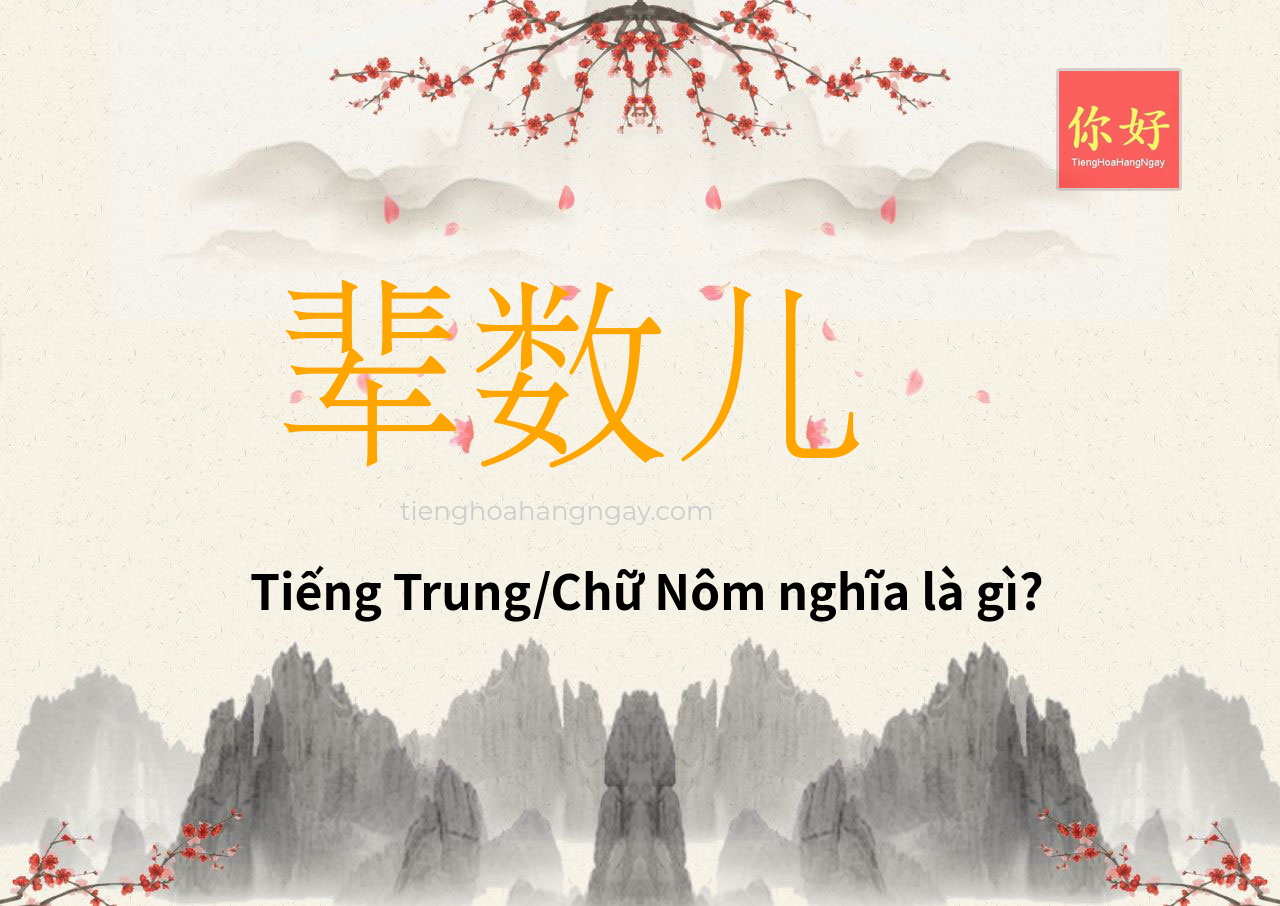辈数儿 tiếng Trung là gì?
