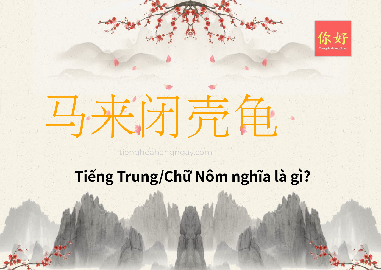马来闭壳龟 tiếng Trung là gì?