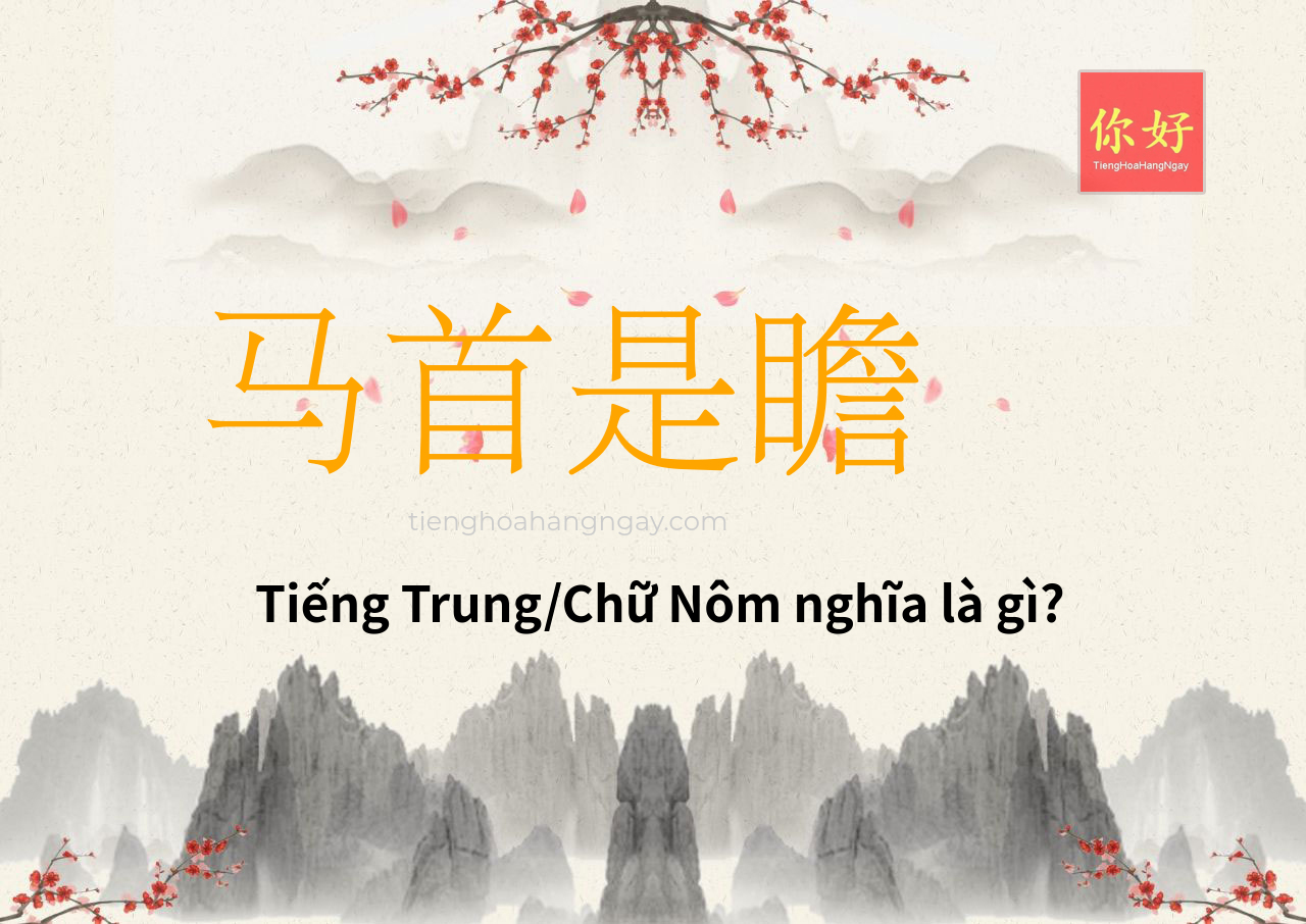 马首是瞻 tiếng Trung là gì?