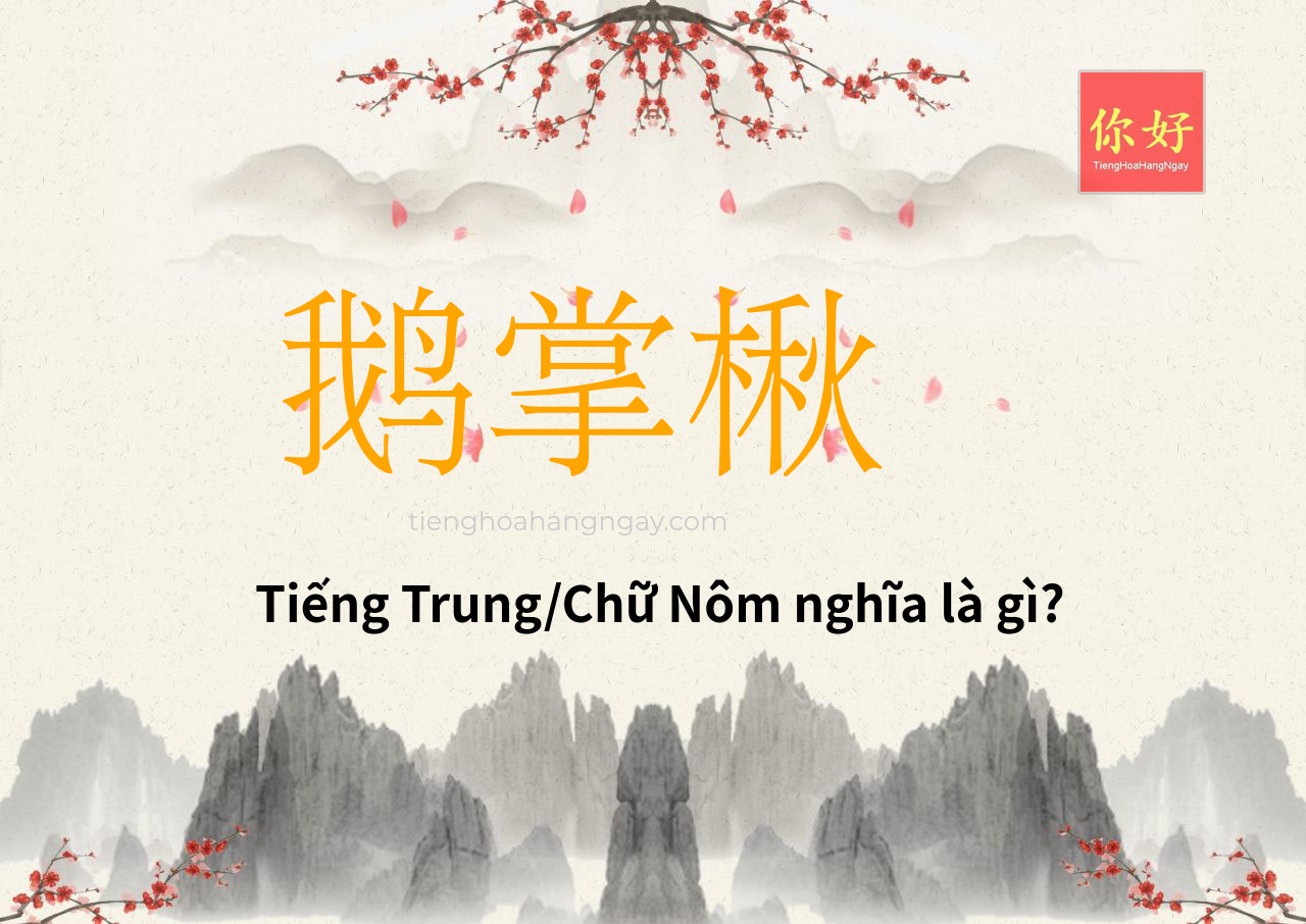 鹅掌楸 tiếng Trung là gì?