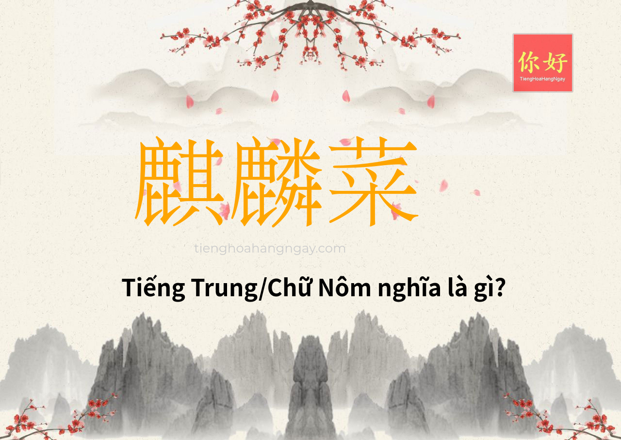 麒麟菜 tiếng Trung là gì?