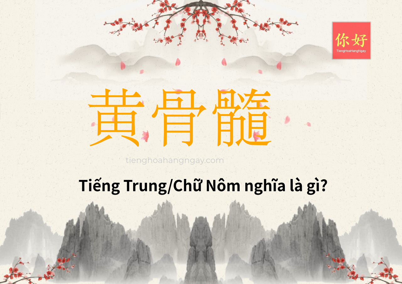 黄骨髓 tiếng Trung là gì?