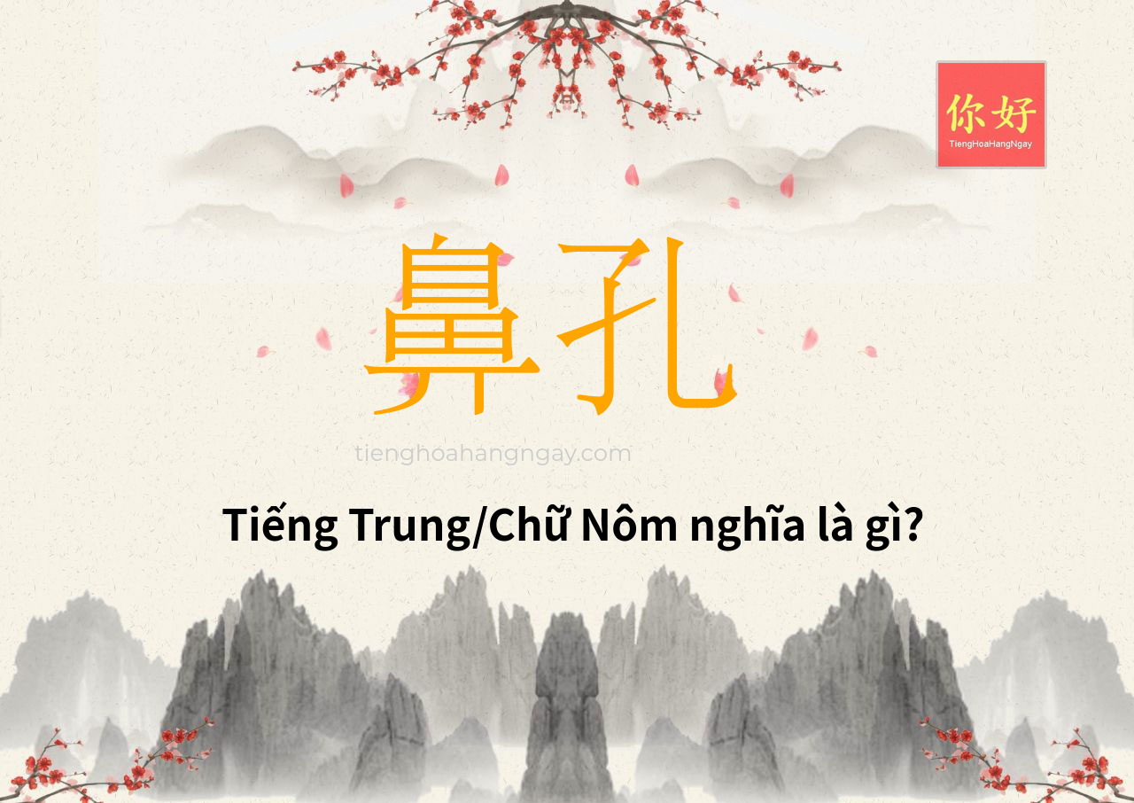 鼻孔 tiếng Trung là gì?