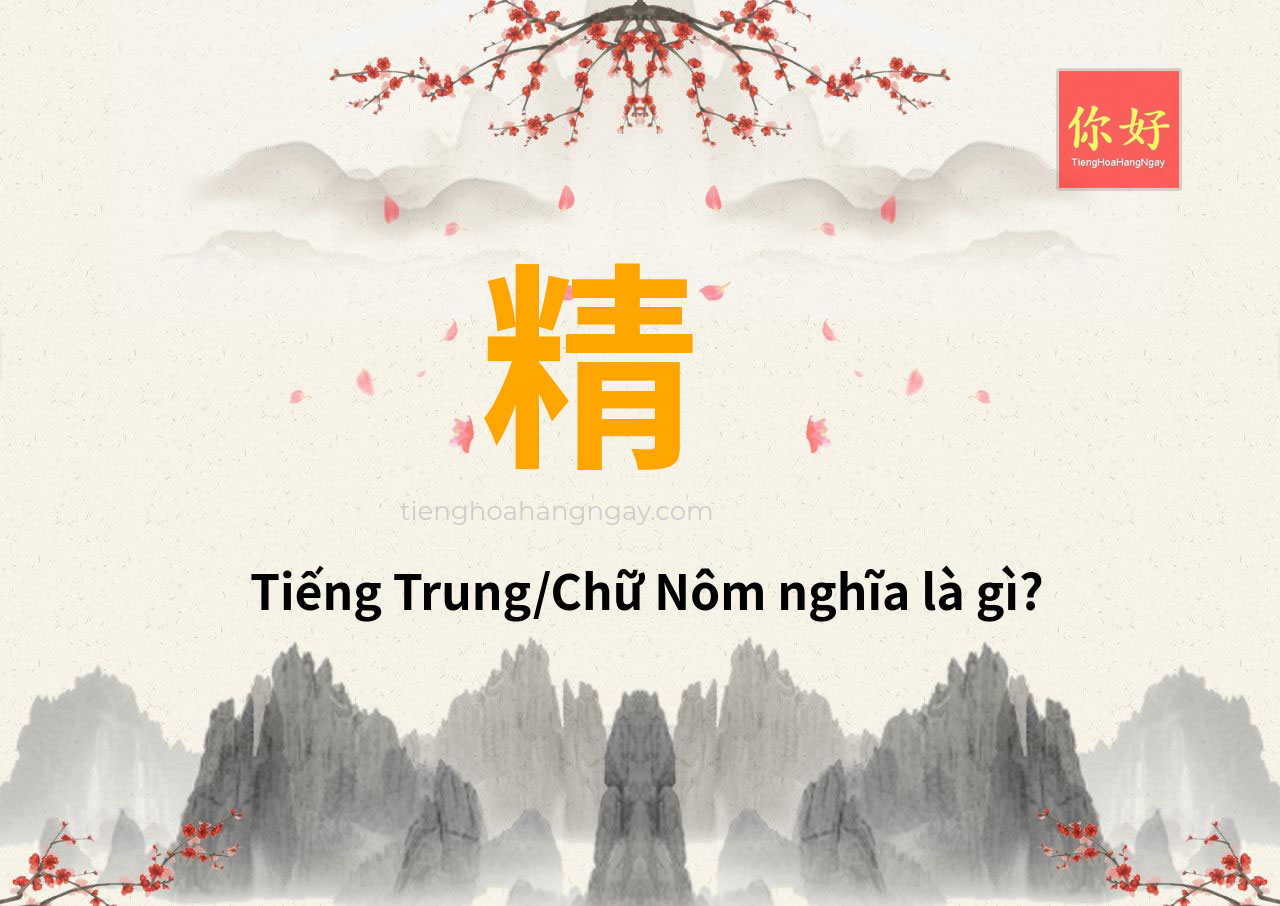 精 tiếng Trung là gì?