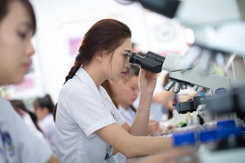 y dược tiếng hoa